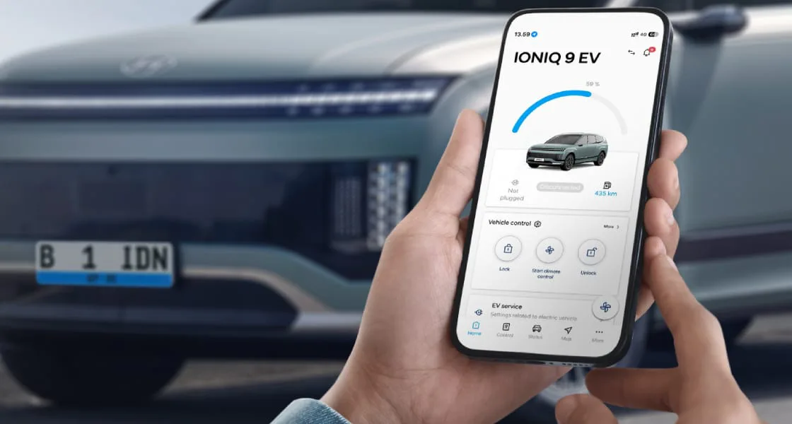 Bluelink Connectivity