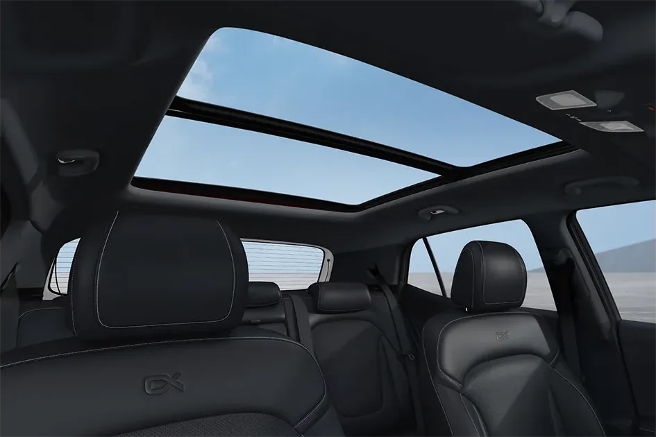 Panoramic Sunroof